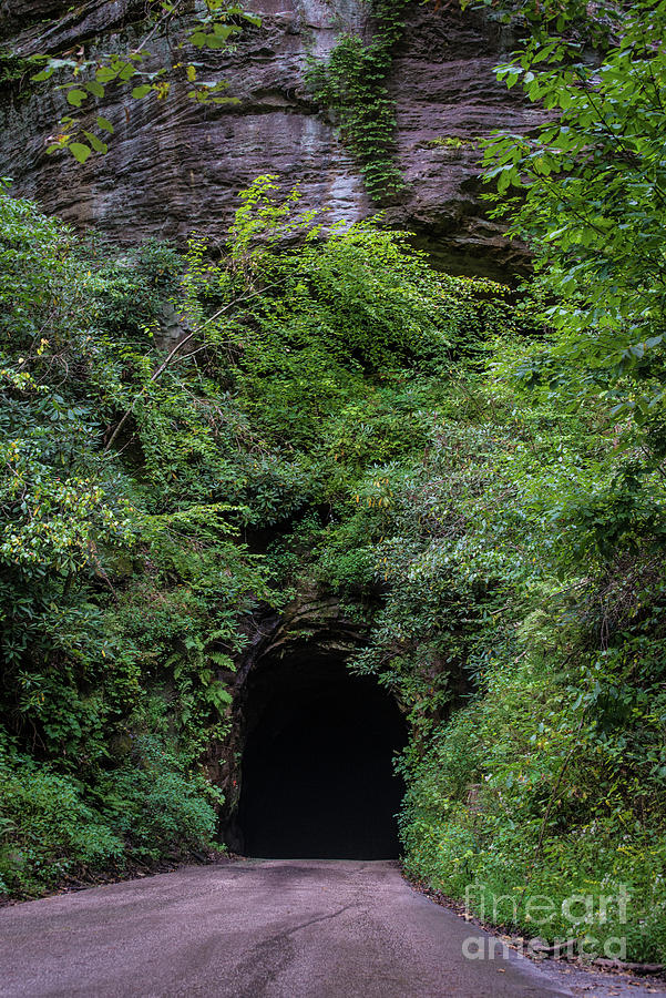 Nada Tunnel - Red River Gorge - Kentucky  Photograph by Gary Whitton