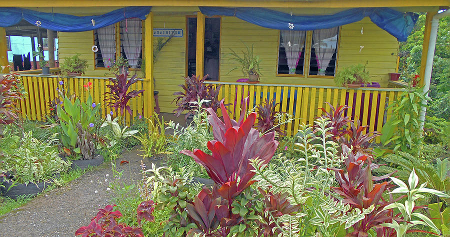 Nadi Handicraft Market 5 Photograph by Ron Kandt