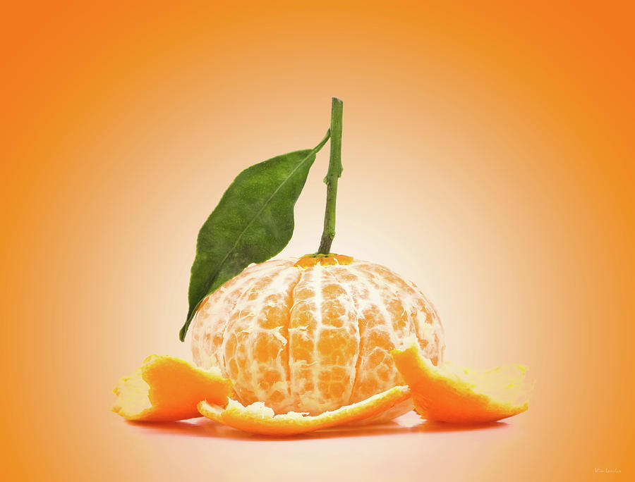 Fruit Photograph - Naked Orange by Wim Lanclus