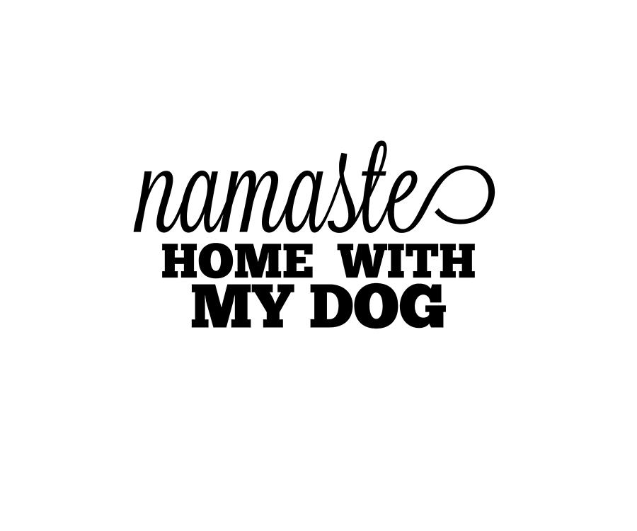 Namaste at Home Hoodie 