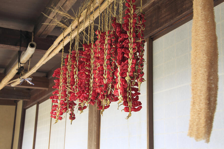 Nanban / chili pepper Photograph by Koichi Watanabe