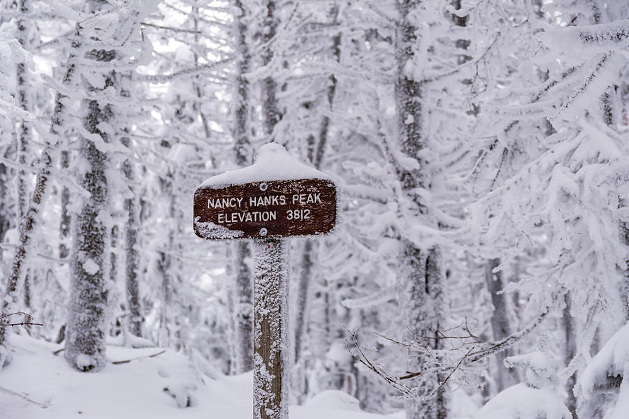 Nancy Hanks Peak in Winter Photograph by Chad Dikun