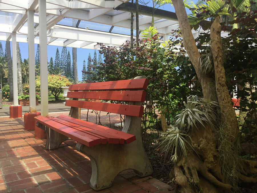 Nani Mau Garden bench Photograph by Bernard Jarman - Fine Art America