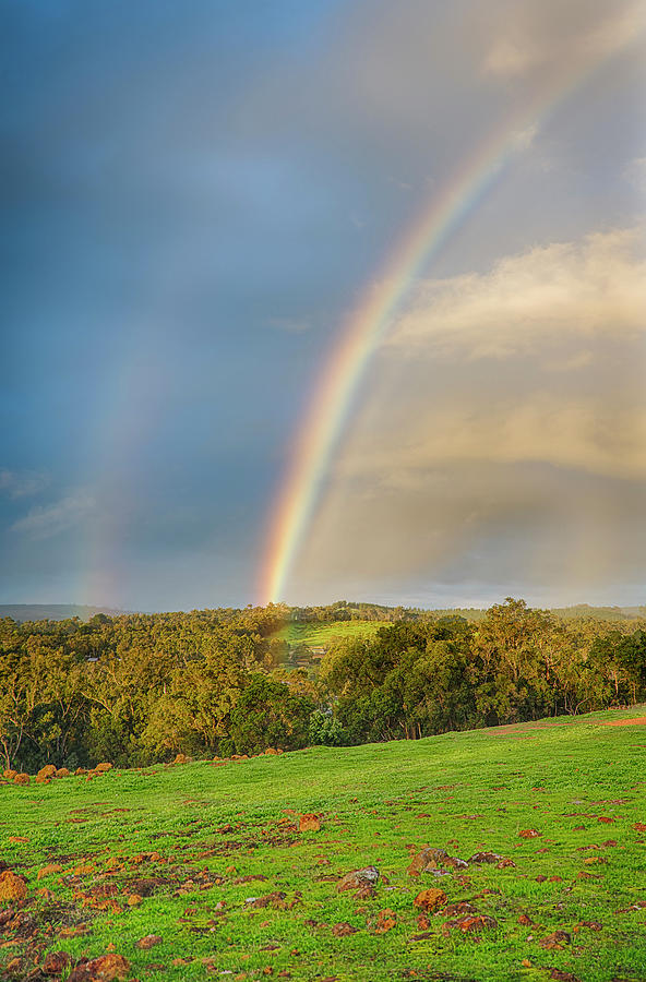 Nannup Rainbow Photograph by Jay Heifetz