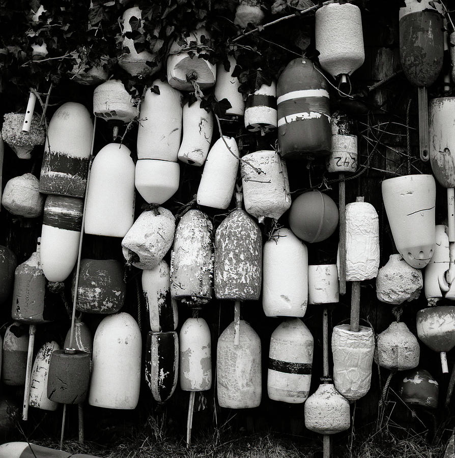Nantucket Bouys  Photograph by Nickleen Mosher