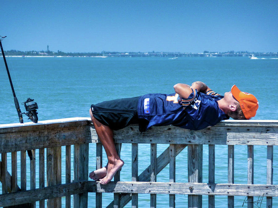 Nap Time Fishing Florida Photograph by Rick Harmon Shutterricky Photography Collections And Nap Time Fishing Florida Photograph by Rick Harmon Shutterricky Photography Collections And