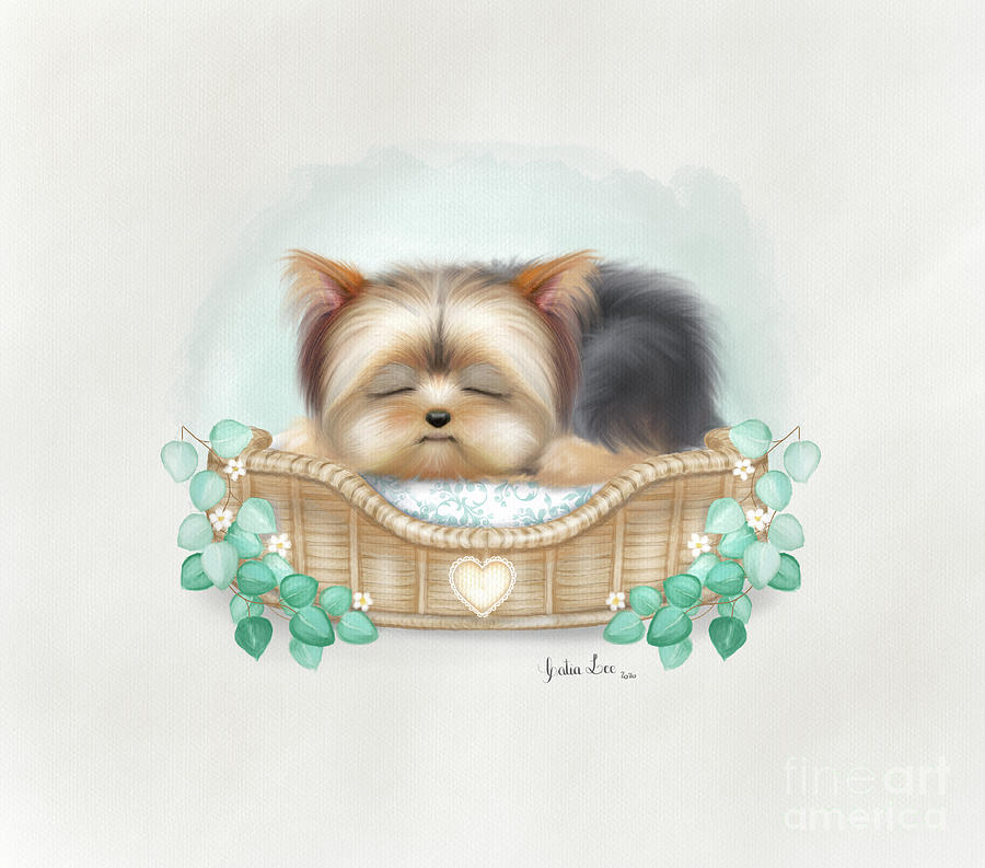 Nap time Yorkie Painting by Catia Lee