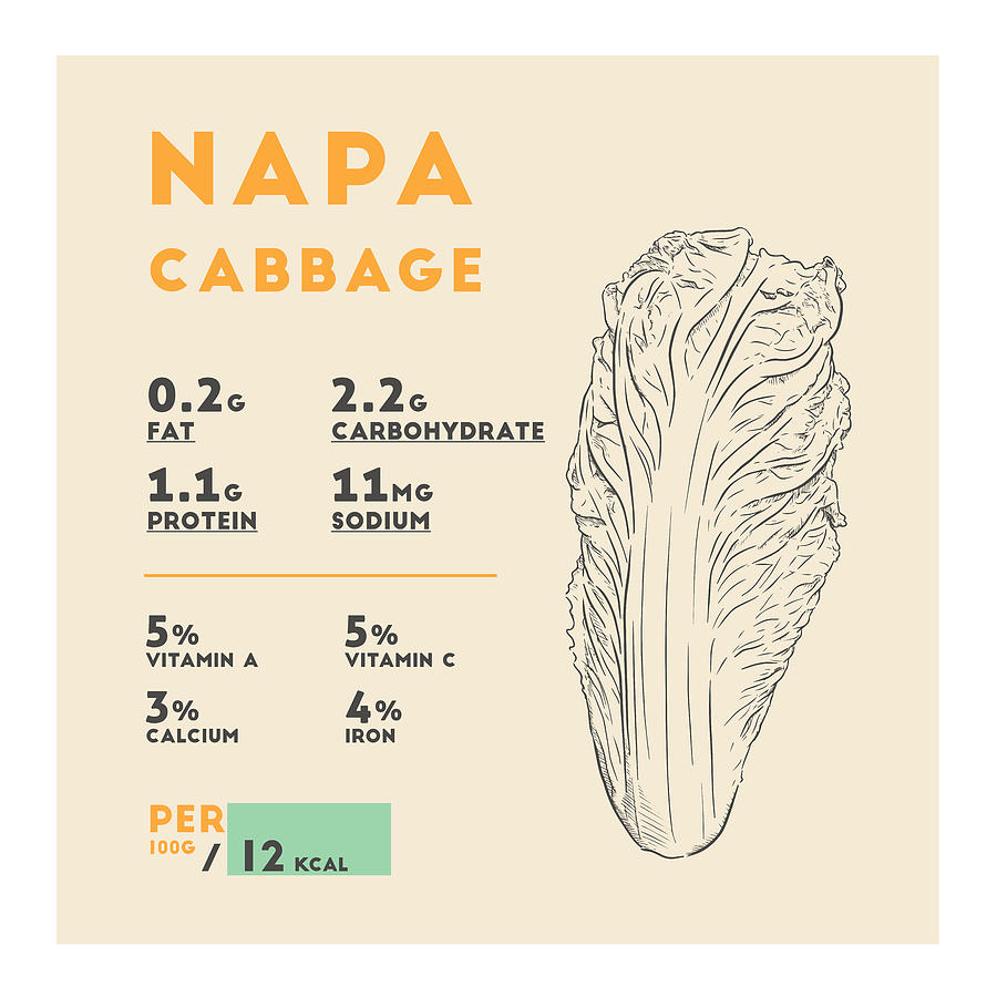 napa-cabbage-nutrition-facts-drawing-by-info-eats-fine-art-america