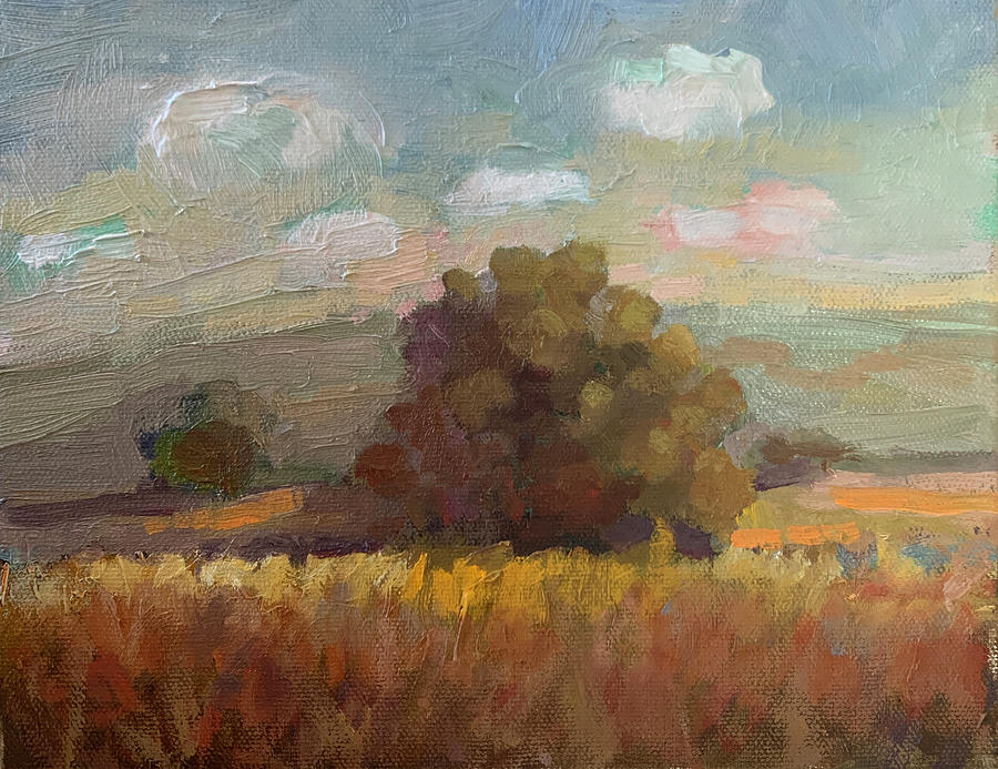 Impressionism Painting - Napa Oak by Sally Rosenbaum