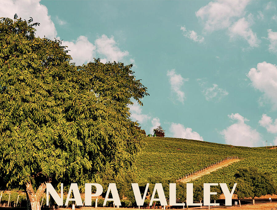 Landmark Photograph - Napa Valley Photo by Long Shot