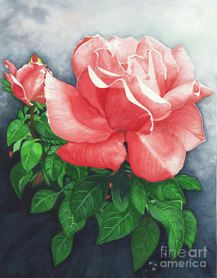 Napa Valley Rose Painting by Barbara Jewell