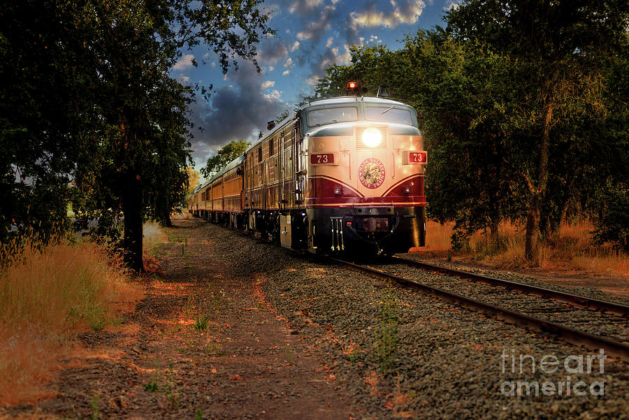 Napa Wine Train Photograph by Jon Neidert