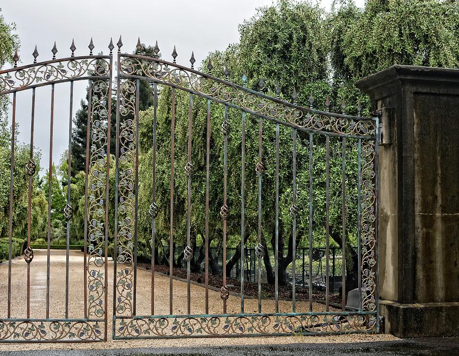 Napa Wrought Iron Photograph by Maggy Marsh