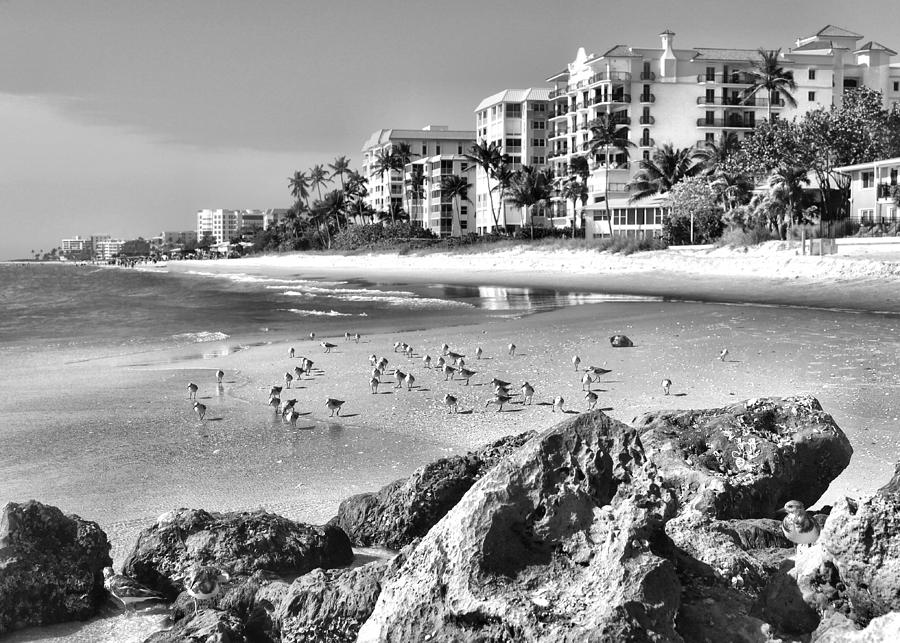 Naples Beach BW Photograph by Mary Pille Naples Beach BW Photograph by Mary Pille
