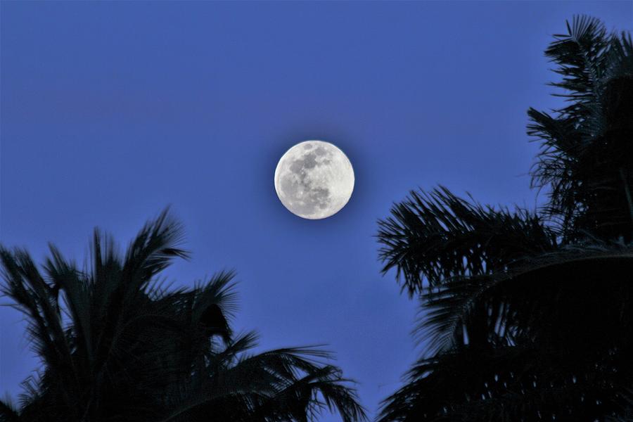 Naples moon rise Photograph by Donn Ingemie