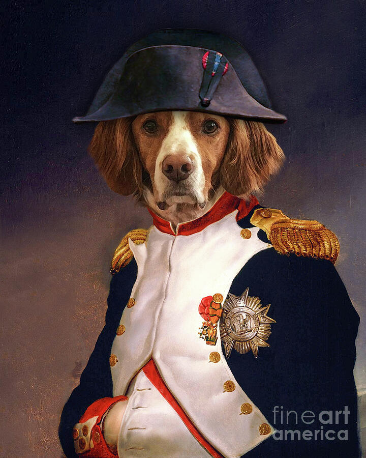 Napoleon dog portrait Painting by Delphimages Photo Creations