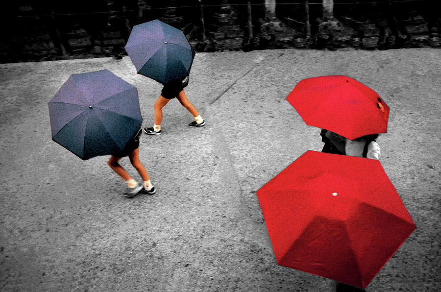 Nara Umbrellas Select Photograph by Wayne King