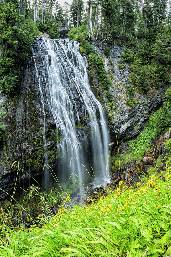 Narada Falls and Wildflowers Photograph by Belinda Greb