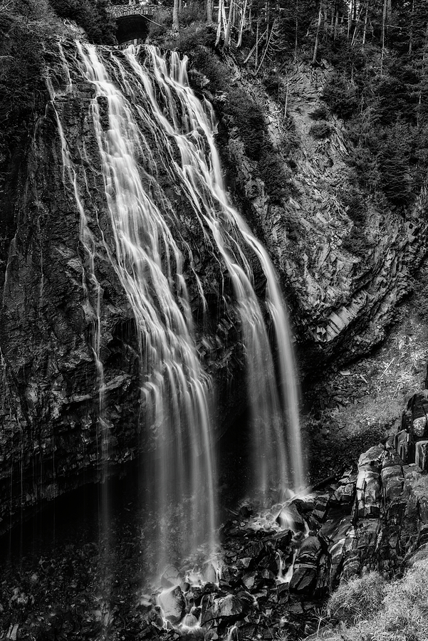 Narada Falls - Black and White Photograph by Loree Johnson