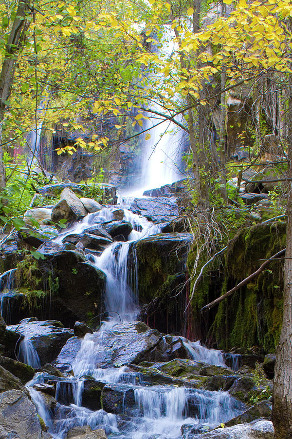 Naramata Falls Photograph by Sean Murray - Fine Art America