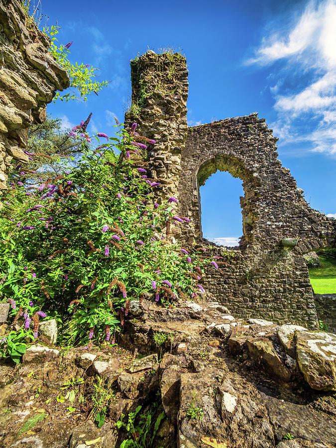 Narberth Castle, Pembrokeshire, Wales Photograph by Mark Llewellyn