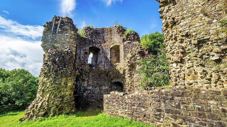 Narberth Castle, Pembrokeshire, Wales, UK Photograph by Mark Llewellyn