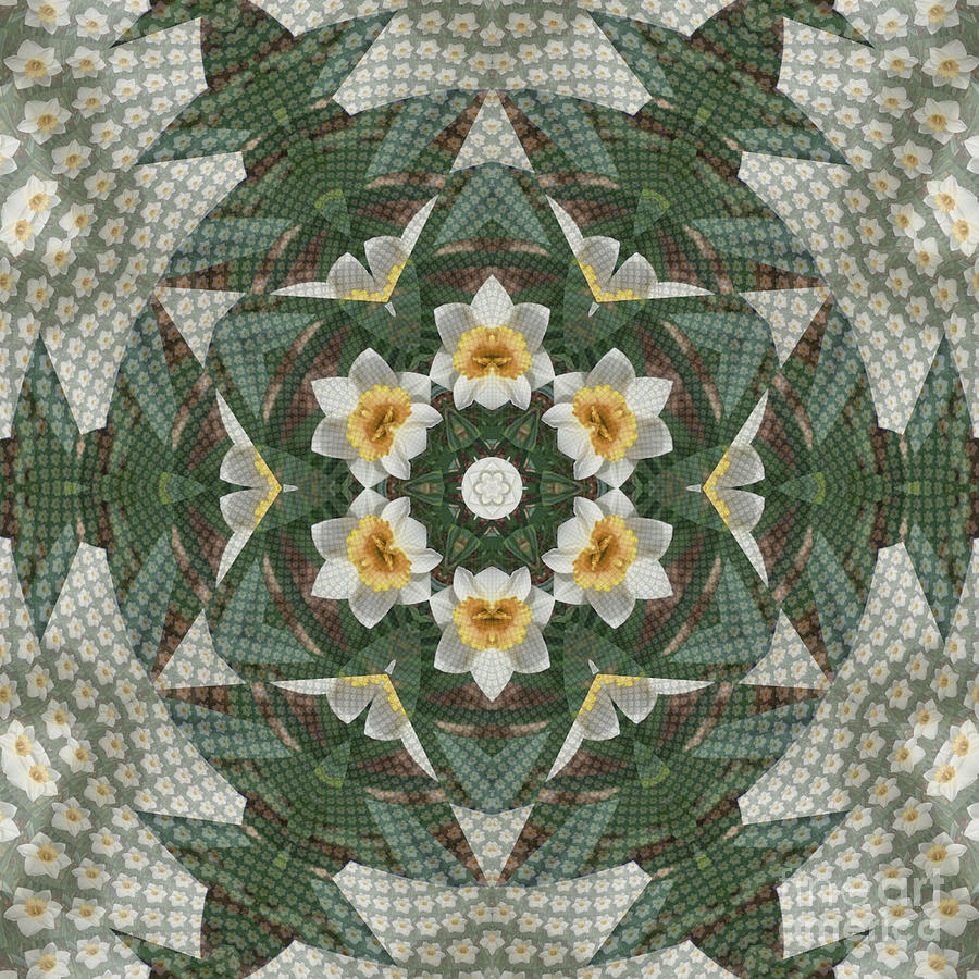 Narcissus Kaleidoscope Square Digital Art by Charles Robinson
