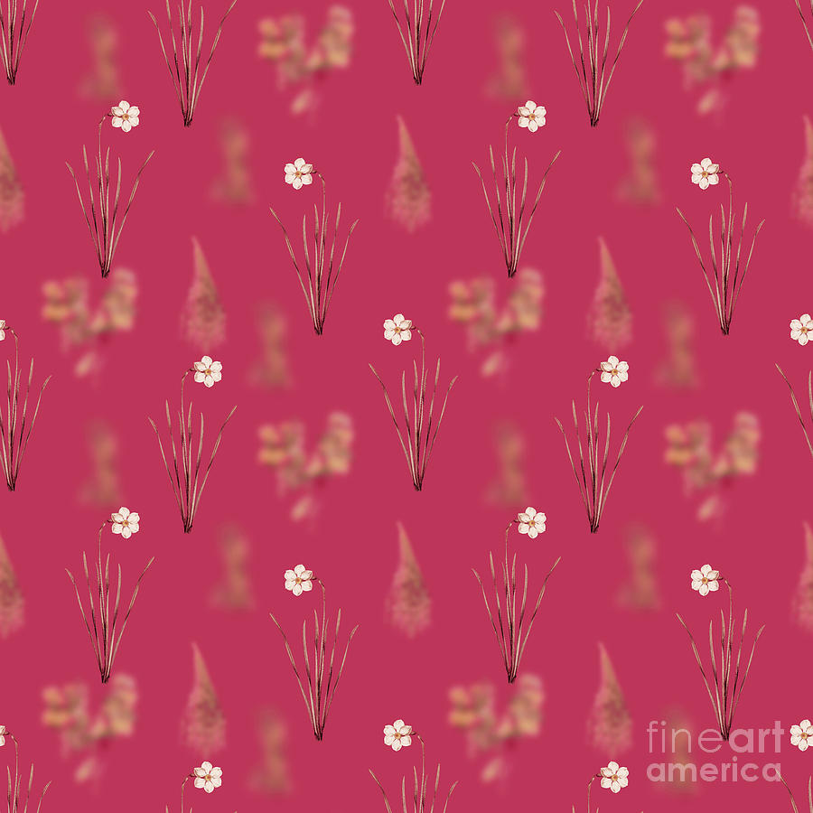 Vintage Mixed Media - Narcissus Poeticus Botanical Seamless Pattern in Viva Magenta n.0868 by Holy Rock Design