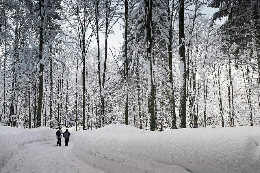 Narnia landscape Photograph by Daniele Carotenuto Photography