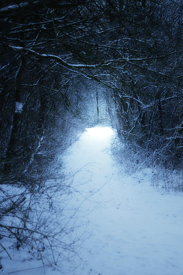 Narnia Photograph by Studio Yuki