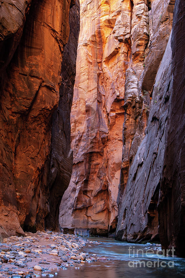 Narrow Canyon Walls Photograph by Bob Phillips