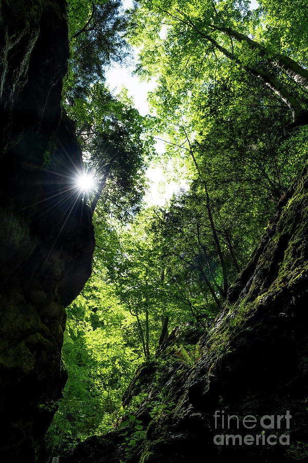 Narrow Canyon With Green Mountain Forest And Bright Sun In Austria Photograph by Andreas Berthold