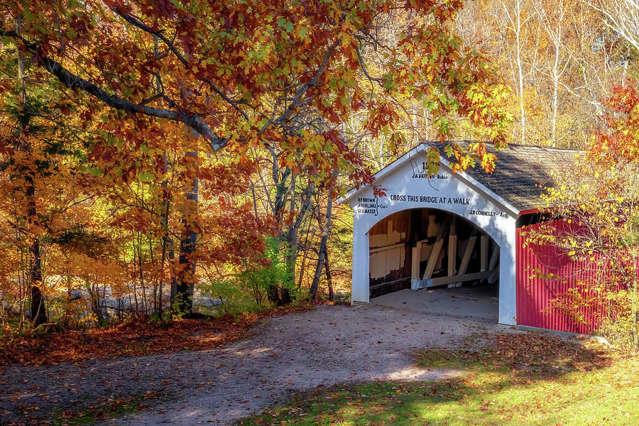 Narrows Covered Bridge in Autumn Photograph by Susan Rissi Tregoning