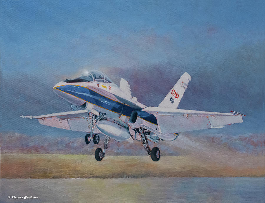 NASA F-18D Hornet Painting by Douglas Castleman
