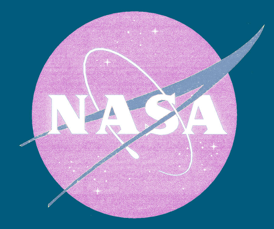NASA Logo Pink Women Painting by Tony Rubino - Fine Art America