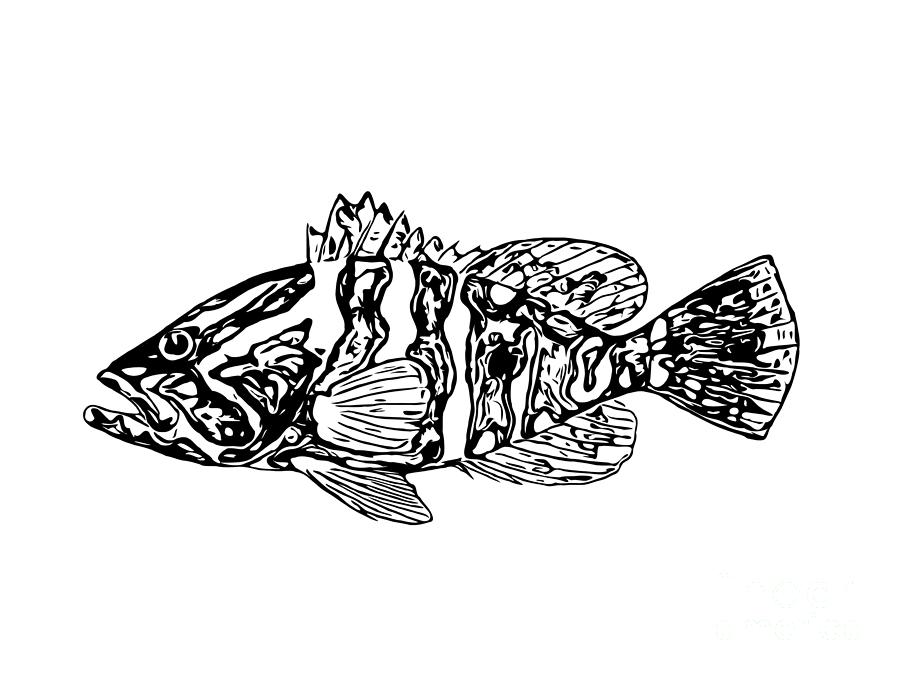 Nassau Grouper Line Art Digital Art by Clifton Jones Fine Art America