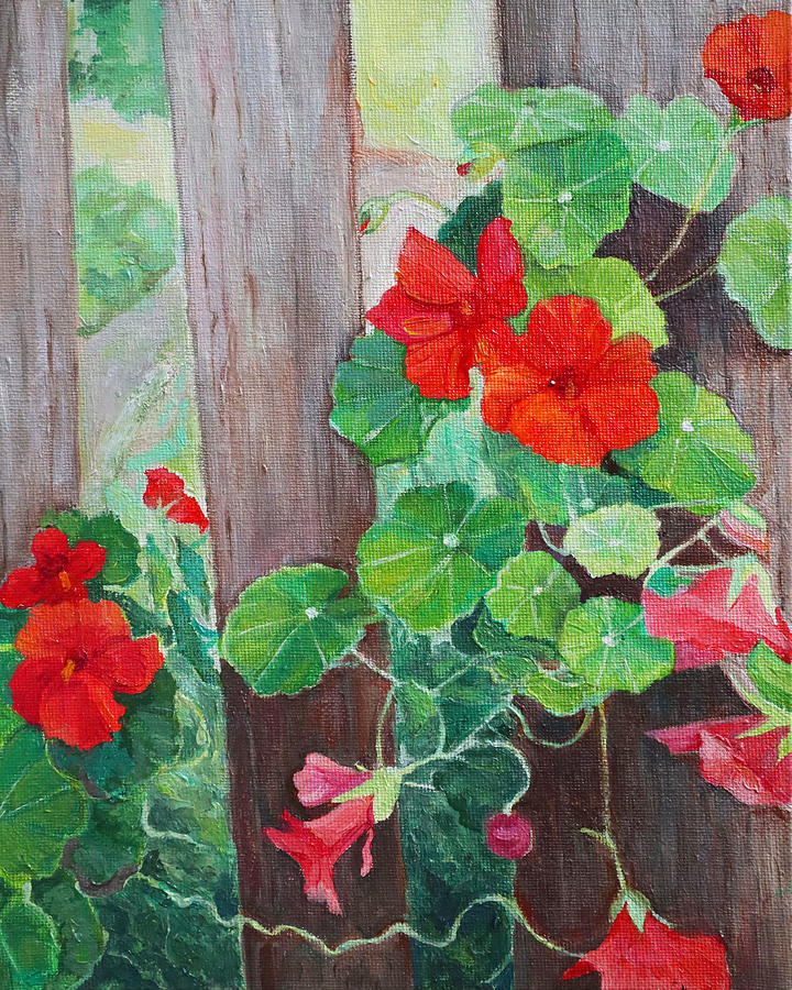 Flower Painting - Nasturtiums by Barbara Esposito