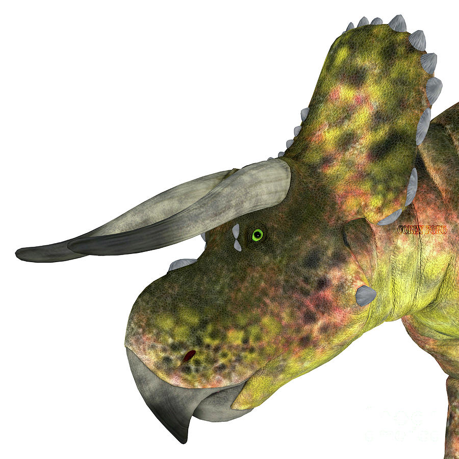 Nasutoceratops Dinosaur Head Digital Art by Corey Ford