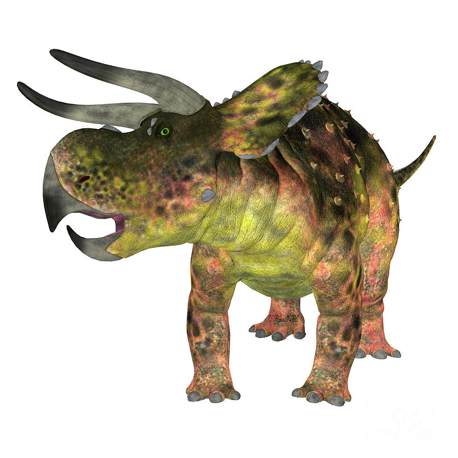 Nasutoceratops Dinosaur on White Digital Art by Corey Ford