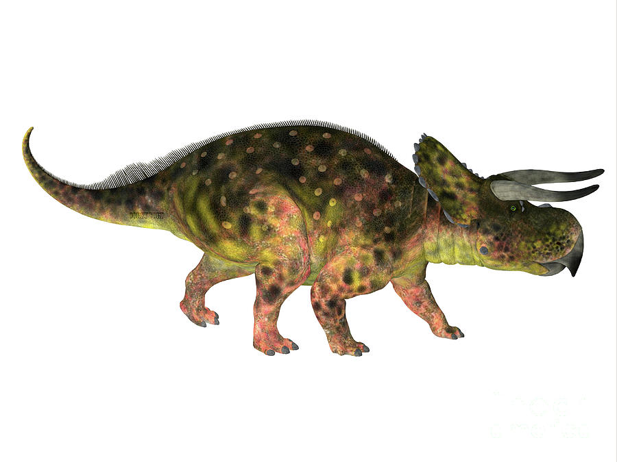 Nasutoceratops Dinosaur Side Profile Digital Art by Corey Ford