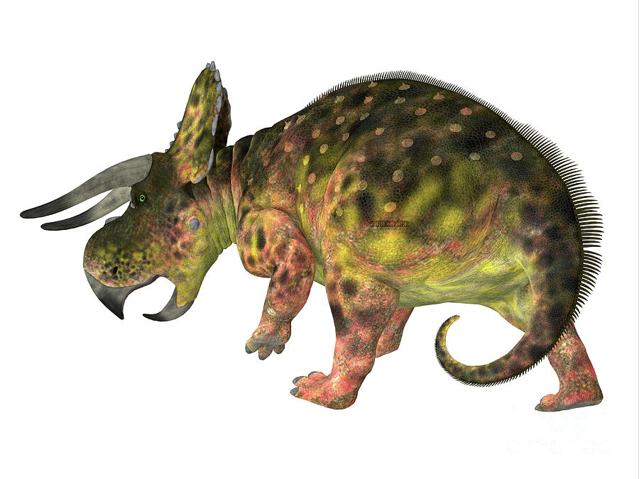 Nasutoceratops Dinosaur Tail Digital Art by Corey Ford