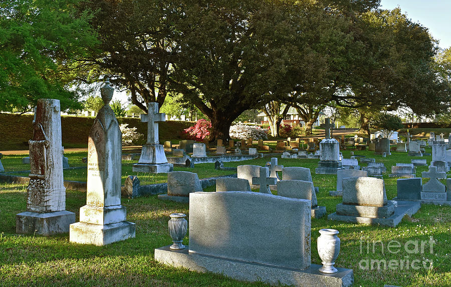 Natchez City Cemetery Photograph by Ron Long