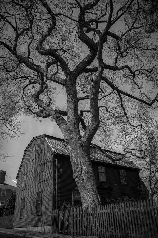 Nathaniel Hawthorne's Birthplace Photograph by Christian Ryan - Fine ...