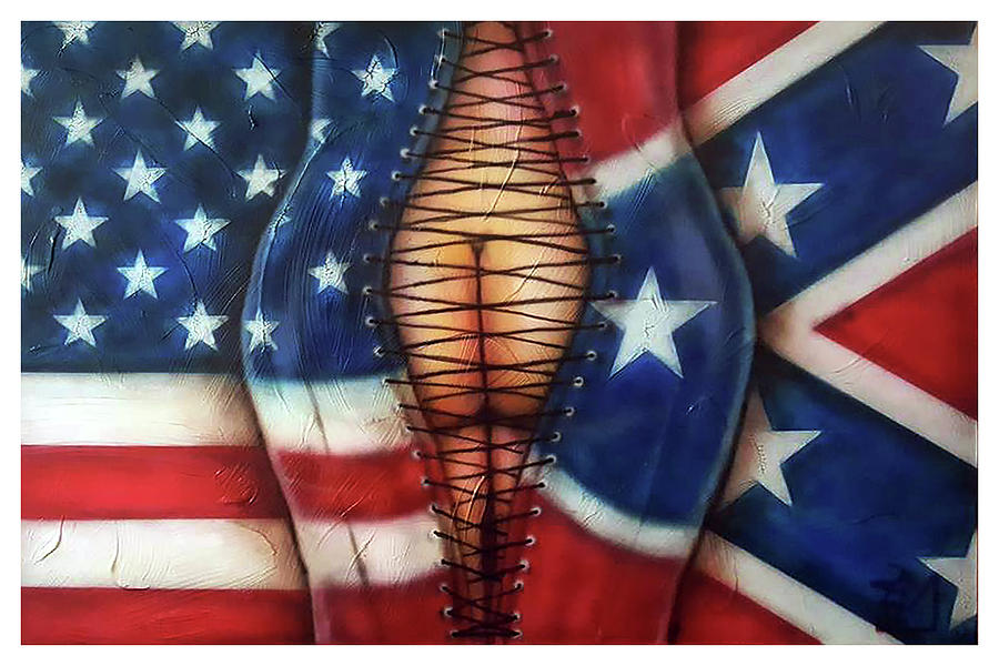 Nation Divided Painting by Rodney D Butler