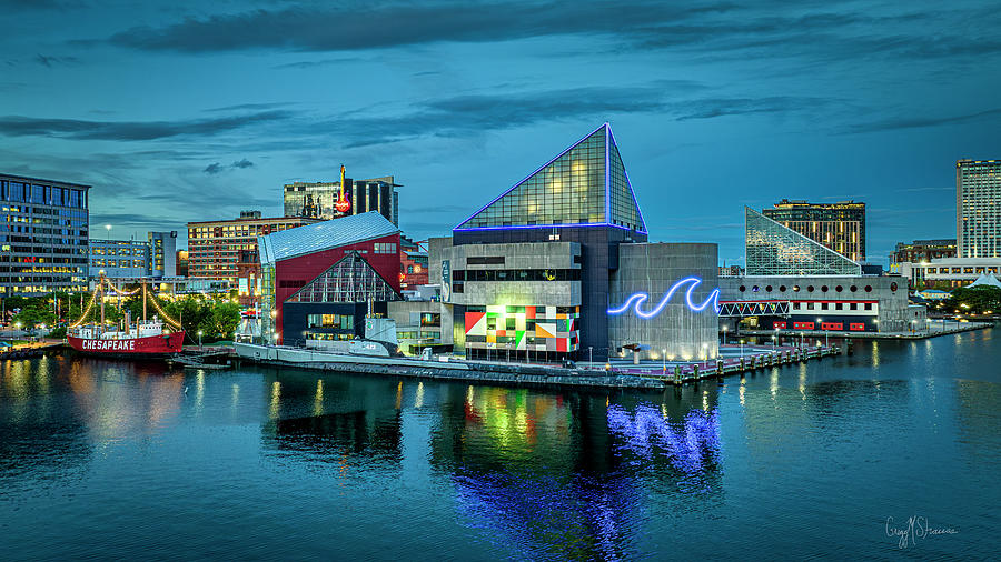 National Aquarium Night Photograph by Gregg Strauss - Fine Art America