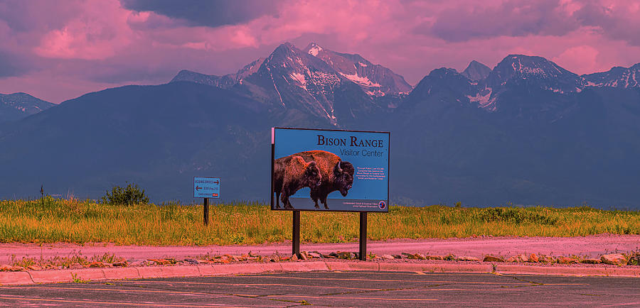 National Bison Range Photograph by Dan Hassett - Fine Art America