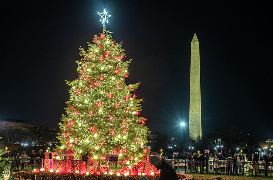 National Christmas Tree and Washington Monument Photograph by Carol ...