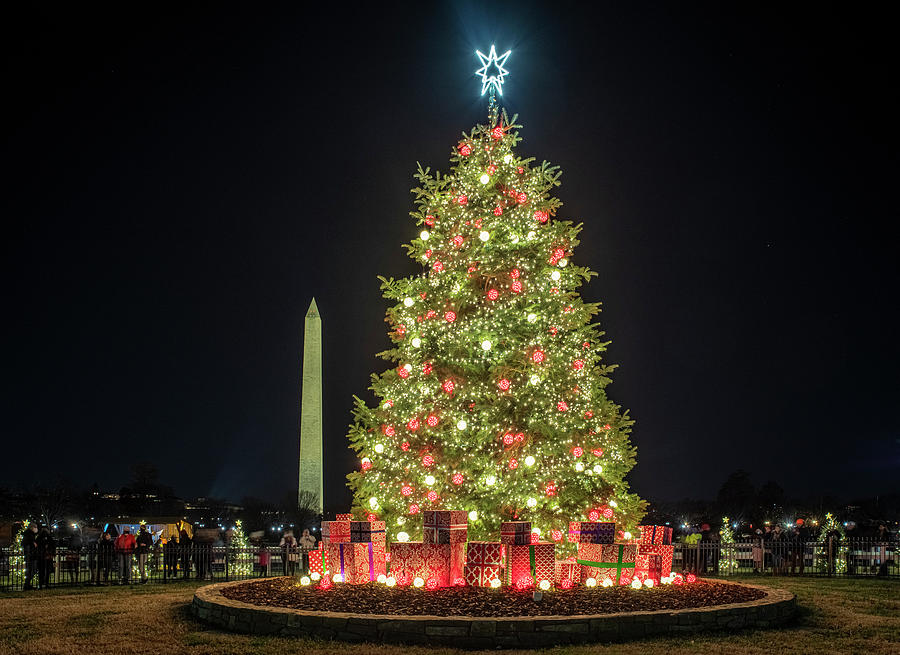 National Christmas Tree On The Ellipse Photograph By Carol Ward - Fine 