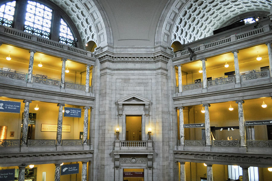 National Museum Of Natural History Rotunda Photograph By Kyle Hanson ...