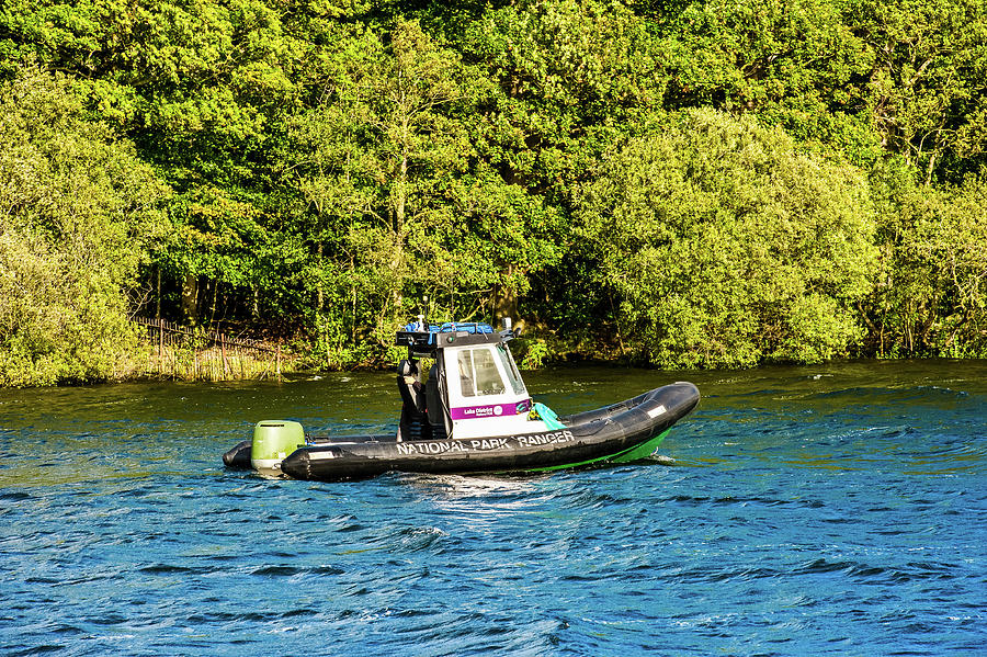 Summer Photograph - National Park Ranger in boat on Windermere Lake District UK by David Ridley
